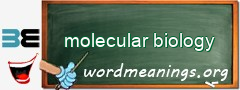 WordMeaning blackboard for molecular biology